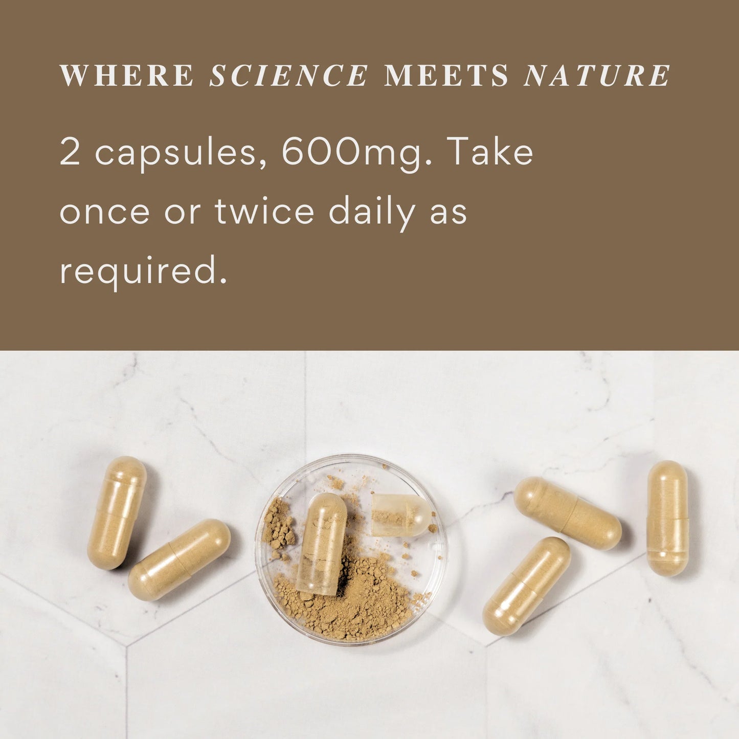 Nano+ Reishi Mushroom Capsules | 60 Serves Immune Support