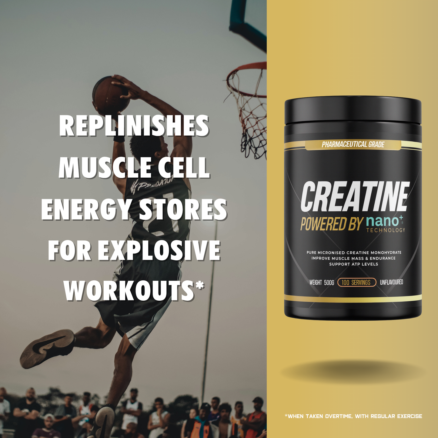 Nano+ Ultimate Performance Stack | Whey, Creatine Mono & Carnitine