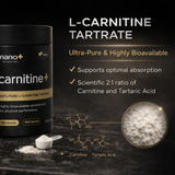 Nano+ L-Carnitine Tartrate Powder 100g | 100 Serves Pharma Grade
